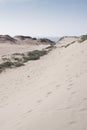 Footsteps in the sand dunes with blue skies Royalty Free Stock Photo