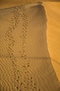 Footsteps on the sand dunes Royalty Free Stock Photo