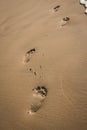 Footsteps in sand. Footprints on the beach. Walk concept. Human steps on the seashore. Summer vacation. Royalty Free Stock Photo