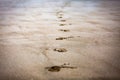 Footsteps on sand