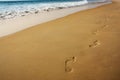 Footsteps on the sand Royalty Free Stock Photo