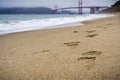 Footsteps on the sand, Golden Gate bridge in the background, California
