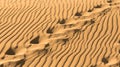 Footsteps in the sand Royalty Free Stock Photo