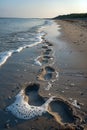 Footsteps in the sand at a peaceful beach