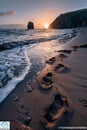 Footsteps in the sand at a peaceful beach