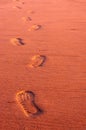 Footsteps in the sand Royalty Free Stock Photo
