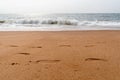 Footsteps on the sand beside the sea Royalty Free Stock Photo