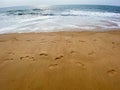 Footsteps on the sand beside the sea Royalty Free Stock Photo