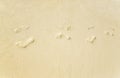 Footsteps at the sand on the seaside Royalty Free Stock Photo