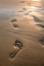 Footsteps in sand at sunset. Beautiful sandy tropical beach with footprints on the shore background. Royalty Free Stock Photo