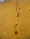 Footsteps in the sand Royalty Free Stock Photo