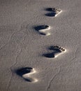 Footsteps in the sand