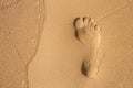 Footsteps in sandy on the beach Royalty Free Stock Photo