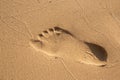 Footsteps in sandy on the beach Royalty Free Stock Photo