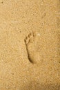 Footsteps in sandy on the beach Royalty Free Stock Photo