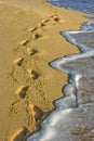 Footsteps on a sandy beach washed away by an ocean wave