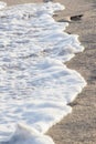 Footsteps on the seaside. Walking on the beach