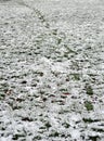 Footsteps in a shallow snow over grass Royalty Free Stock Photo