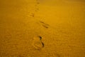 Footsteps shoe prints marks on sand beach sea vacation summer Royalty Free Stock Photo