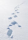 Footsteps on the snow Royalty Free Stock Photo