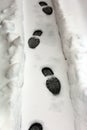 Footsteps in the snow Royalty Free Stock Photo