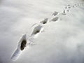 Footsteps in snow