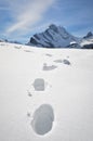 Footsteps on the snow Royalty Free Stock Photo