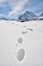 Footsteps on the snow Royalty Free Stock Photo