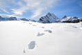 Footsteps on the snow Royalty Free Stock Photo
