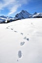 Footsteps on the snow Royalty Free Stock Photo