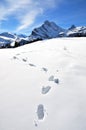 Footsteps on the snow