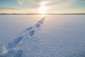 Footsteps on snow at a frozen lake