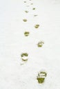 Footsteps in snow on green yellow grass. Ground covered with fresh snow and a print of human footrint. Snow texture.