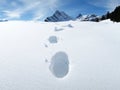 Footsteps on the snow Royalty Free Stock Photo