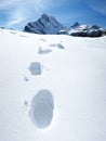 Footsteps on the snow Royalty Free Stock Photo