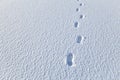 Footsteps in the snow Royalty Free Stock Photo
