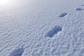 Footsteps in the snow