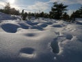 Footsteps in snow Royalty Free Stock Photo