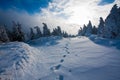 Footsteps in snowbound landscape