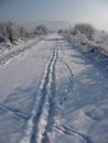 Footsteps on snowy road