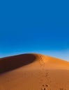Footsteps to the top of the dune Royalty Free Stock Photo