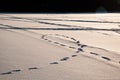 Footsteps tracks on the snow at the frozen lake Royalty Free Stock Photo