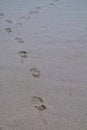 Footsteps walking on the beach