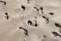 Footsteps on the yellow sand on the beach Royalty Free Stock Photo