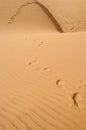 Footprints on the desert Royalty Free Stock Photo