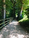 Footway in a forest Royalty Free Stock Photo