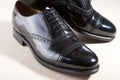 Footwear Concept. Pair of Black Fashionable Male Oxfords Semi-Br