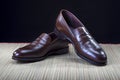 Footwear Concepts and Ideas. Pair of Stylish Expensive Modern Calf Leather Brown Penny Loafers Shoes