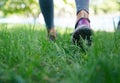 Footwear on female feet running on green grass Royalty Free Stock Photo