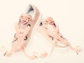 Footwear for girls and women decorated with pearl beads. Femininity concept. Pair of pale pink female sneakers with Royalty Free Stock Photo